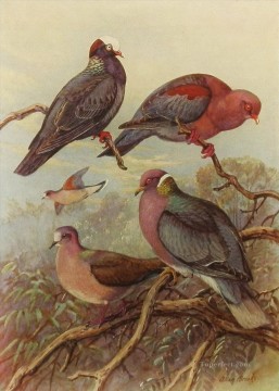 parrots birds Oil Paintings